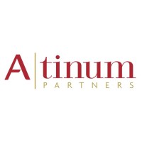 Atinum Investments